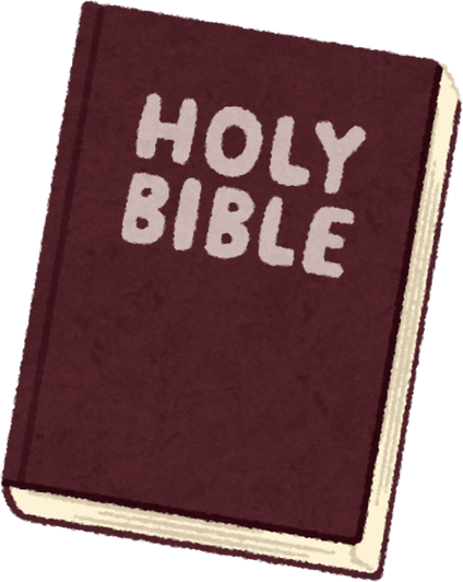 Illustrated Holy Bible with Burgundy Cover